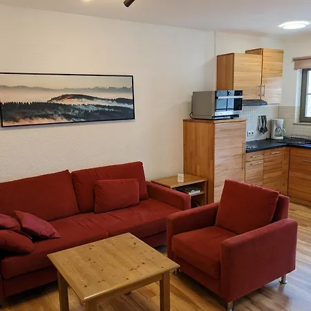 1 - Residenz Schauinsland Im Wanderparadies An Skilift & Loipe Panoramablick, Sauna Im Haus Apartment Todtnauberg